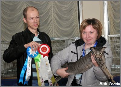 Tafari Jubatus - Best Cat Premiership